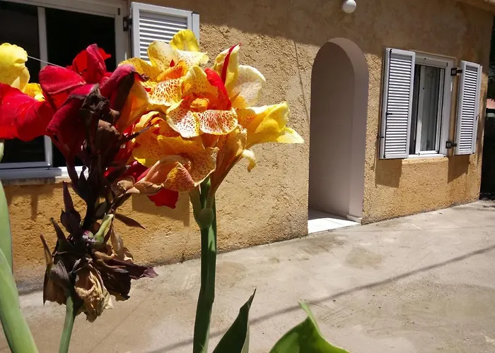 Sitzanaki Home
